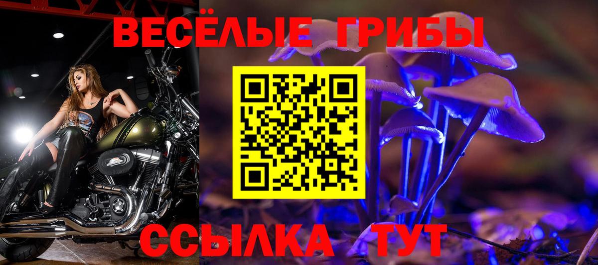 Галлюциногенные грибы Cubensis  Вход с VPN  Галлюциногенные грибы прущие грибы  Новоалтайск 