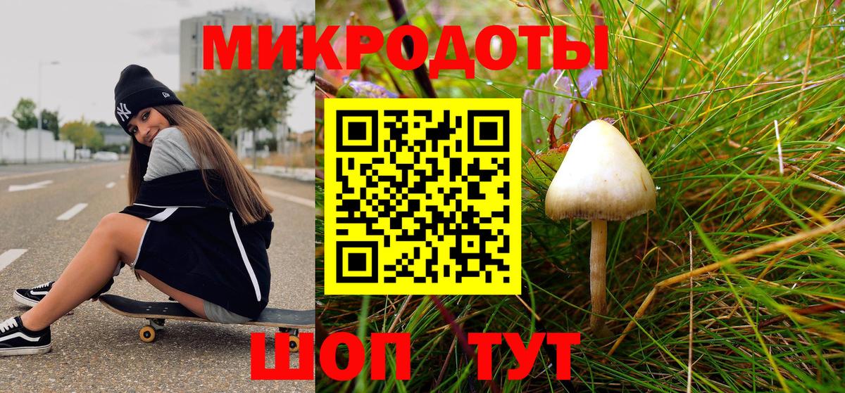 Псилоцибиновые грибы ЛСД Новоалтайск